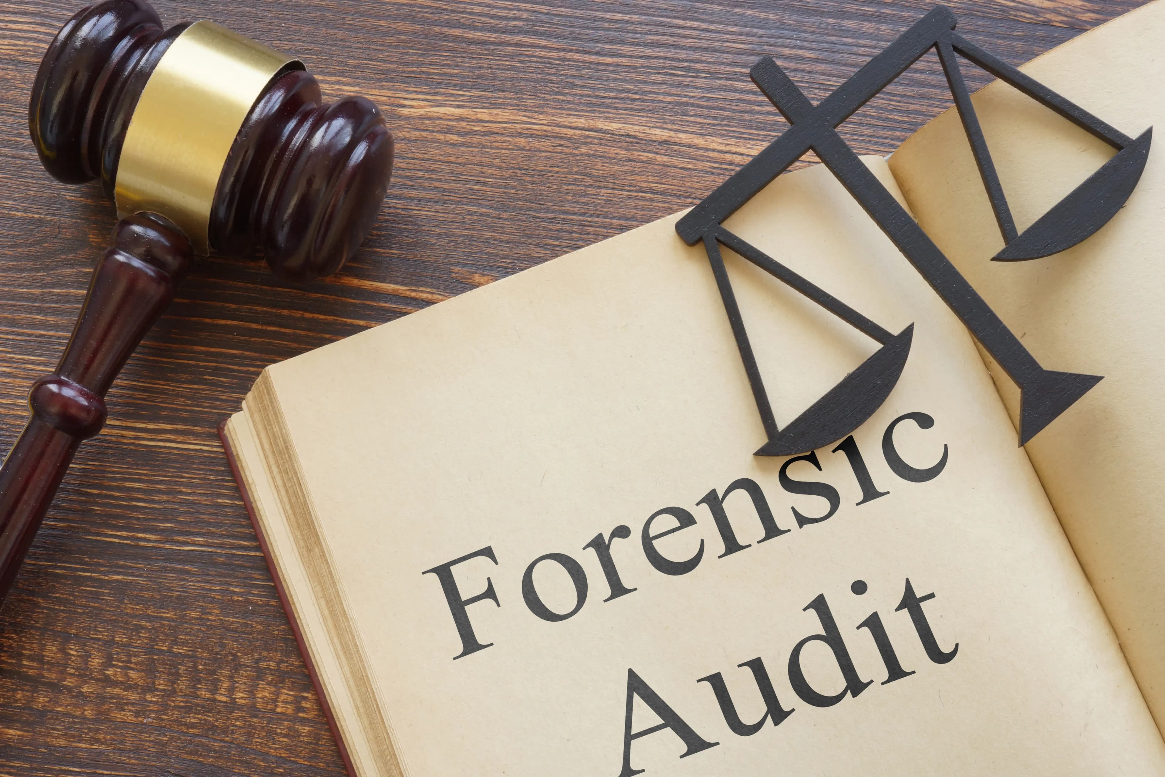 Forensic Audit